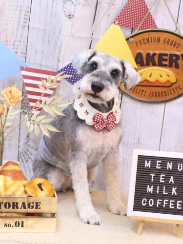 20240901バーツくん